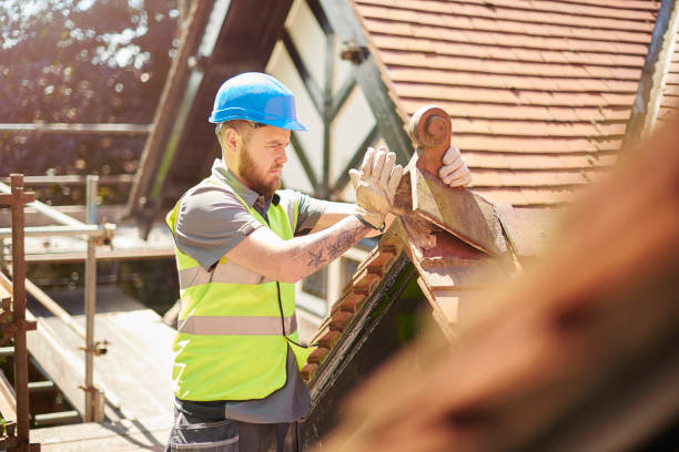 Best Storm Damage Roof Repair  in Wilson, NC